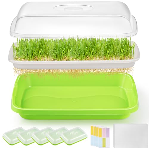 6 Pack Green Seed Sprouter Trays with Lid, Soil-Free Cultivation Germination Tray, Nursery Tray with Planting Paper for Indoors or Outdoors