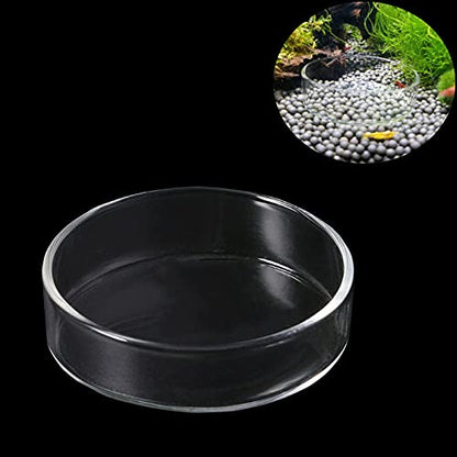1PCS 60mm/65mm Aquarium Shrimp Feeding Dish, Glass Round Fish Feeder Bowl Reptiles Water Food Dish Clear Dishes Tray - size: Round Bowl: 65MM