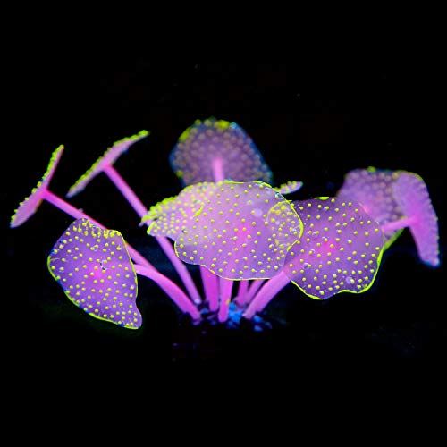 Uniclife Silicone Coral Plant Decorations Glowing Artificial Ornament for Fish Tank Aquarium, Yellow, Ball Shape - color: Yellow