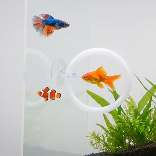 2 PCS Betta Fish Exercise Ring, 2 Exercise Training Ring and 1 Fish Mirror with Balls Betta Enrichment Toys with Suction Cup for Small Medium Fishes Bettas Aquarium, White