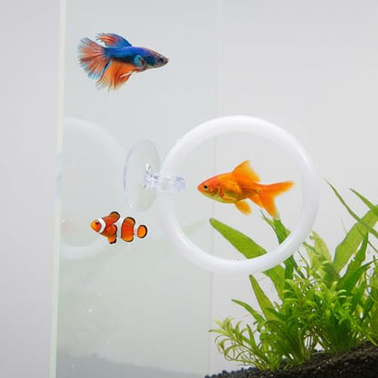 2 PCS Betta Fish Exercise Ring, 2 Exercise Training Ring and 1 Fish Mirror with Balls Betta Enrichment Toys with Suction Cup for Small Medium Fishes Bettas Aquarium, White