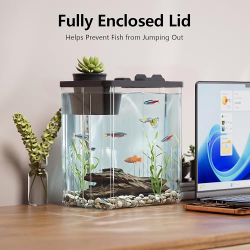 2 Gallon Betta Fish Tank Aquarium Starter Kit with Light and Lid(Black) | Premium Acrylic Aquarium with Light and Lid, Crystal Clear Starter Kit for Betta Fish, Shrimp, Snails and Small Fish - color: Black, size: 2 Gallon