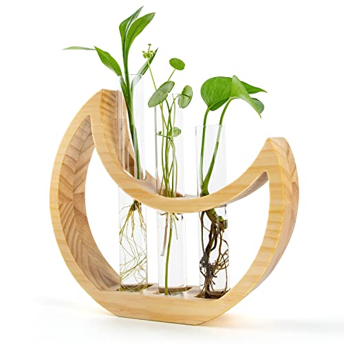 Crescent Moon Plant Propagation Station with Glass Test Tube for Houseplant