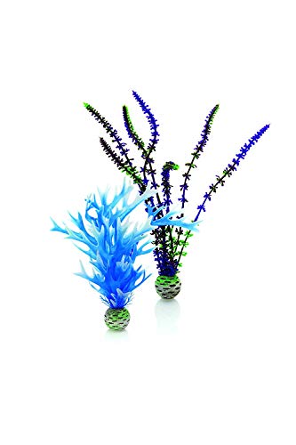 biOrb Blue/Purple Plant Pack Medium - color: Blue/Purple, size: Medium