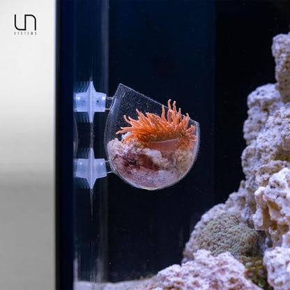 Ultum Nature Systems Glass Cup - Glass Plant Holder/Coral Isolation for Aquarium, Fish Tank Planter, Aquatic Plant Pot w/Clear Suction Cups, Hanging Glass Pot, Aquascape Decorations - 1 Pc