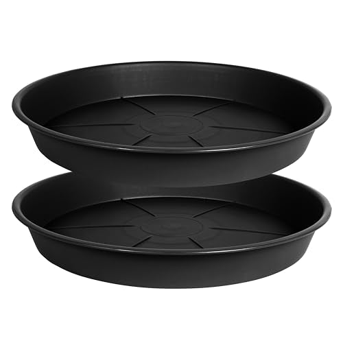 OVZILKI 2 Pack of Plant Saucer Tray 14 inch, Heavy Duty Plastic Pot Plant Drip Trays Saucers for Indoors Outdoor, Plant Water Tray for Planters 13 14" (14", Black) - color: Black, size: 14" - 2 Pack