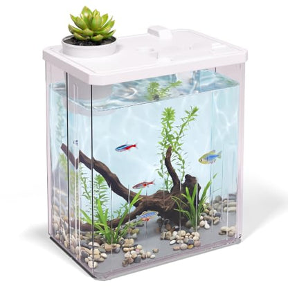 2 Gallon Betta Fish Tank Aquarium Starter Kit with Light and Lid(White) | Premium Acrylic Aquarium with Light and Lid, Crystal Clear Starter Kit for Betta Fish, Shrimp, Snails and Small Fish - color: White, size: 2 Gallon