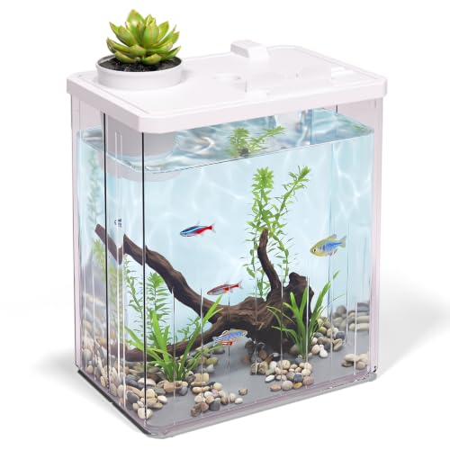 2 Gallon Betta Fish Tank Aquarium Starter Kit with Light and Lid(White) | Premium Acrylic Aquarium with Light and Lid, Crystal Clear Starter Kit for Betta Fish, Shrimp, Snails and Small Fish - color: White, size: 2 Gallon