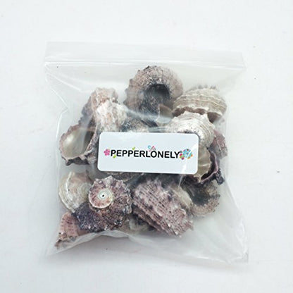 PEPPERLONELY 12PC Pink Delphinula Hermit Crab Sea Shells, 1-1/4 Inch ~ 2-1/2 Inch - color: 6#. Pink 1-1/4" ~ 2-1/2"