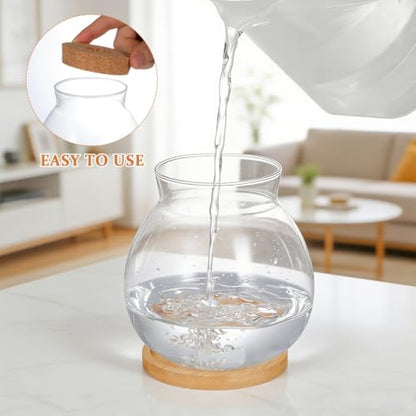POPETPOP Desktop Glass Fish Bowl - Round Small Fish Tank | with Wood Stopper & Bamboo Mat, Clear Glass Betta Fish Bowl for Succulent Plants, Hydroponic Air Plant (5.5X5.1 Inch)