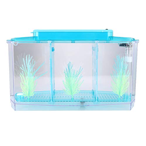 Acrylic Fish,Bowl, Aquarium Fish LED Acrylic Three Divisions Breeding Isolation Box for Small Fishes (Blue)
