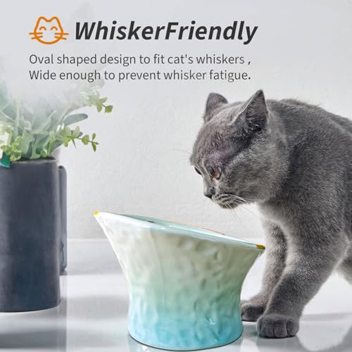 Cute Fish Shape Ceramic Elevated Cat Bowl for Food, 2-Pack | Shallow and Tilted Design, Whisker-friendly, Anti-vomiting, Non-slip base, Ideal for Wet Food, Kittens & Treats, Green & Blue