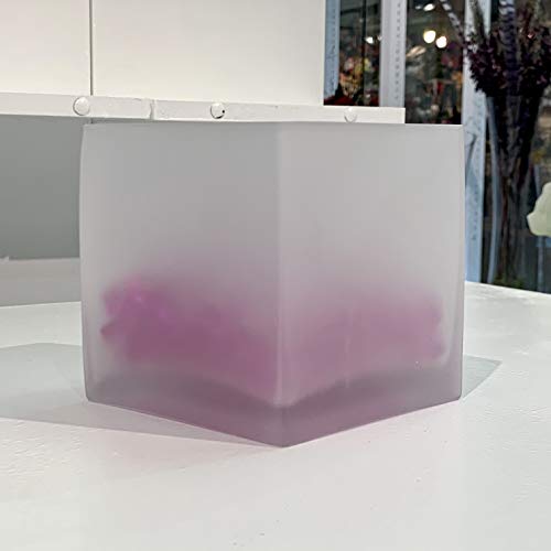 WGV Cube Glass Vase, Candle Holder, 5"x5"x5", Frosted Elegant Floral Accent Container Planter Terrarium Storage for Wedding Party Ceremony Event Office Home Decor, 1 Piece - size: 5" Frosted