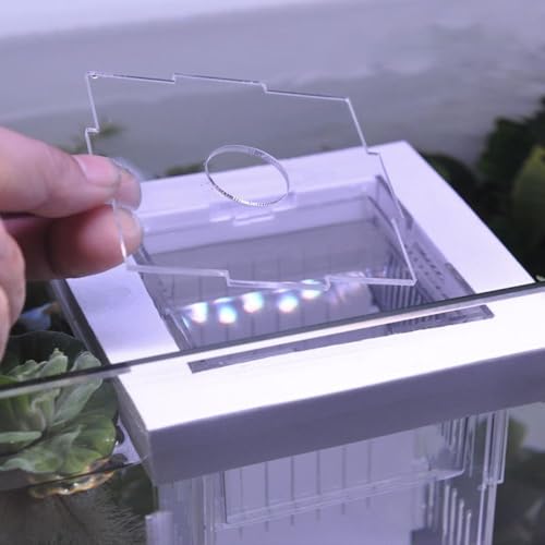 Isolation Box, Breeder Box for Fish Tank Isolation Aquarium Separator Floating Hatchery Incubator for Aggressive or Injured Fish(White-Style D) - style: white-Style D