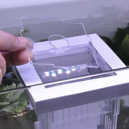 Isolation Box, Breeder Box for Fish Tank Isolation Aquarium Separator Floating Hatchery Incubator for Aggressive or Injured Fish(White-Style D) - style: white-Style D