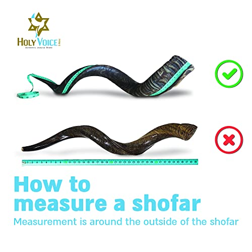 Holy Voice Sterling Silver-Plated 36"-39" Jerusalem Shofar Horn from Israel with Stand, Carrying Bag and Cleaning Brush – Made in Israel - color: Jerusalem, size: 36"-39"
