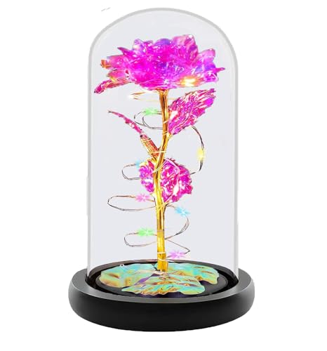 Fvawe Birthday Gifts for Women,Rose Glass Flowers Gifts for Mom,Galaxy Crystal Light Up Rose in A Glass Dome,Presents Girlfriend Wife Sister Grandma Her Anniversary Valentines Mothers Day, Pink - color: Pink Colorful