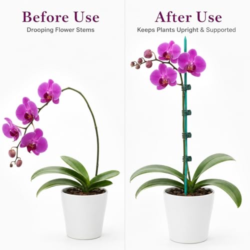 Jetec 110 Pcs 15 Inch Plant Support Kit for Small Orchids, Stakes, Clips | 30 Bamboo Stakes, 50 Reusable Clips, 30 Ties, Gentle Stem Support, Blends with Plants, for Small Orchids and Potted Flowers