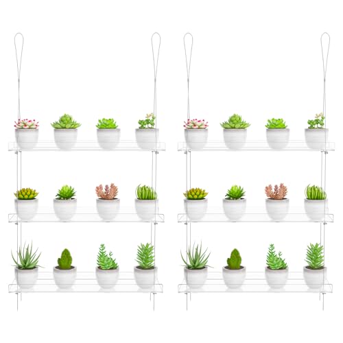 OtNiap Clear Hanging Window Plant Shelves, 2-Pack 3-Tier, 16-Inch Stand | Adjustable Indoor wall plant holder for herbs, microgreens and potted plants. Maximizes window space while displaying plants - size: 2 Pack-3 Tier