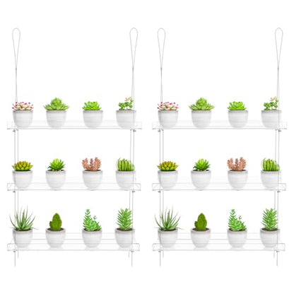 OtNiap Clear Hanging Window Plant Shelves, 2-Pack 3-Tier, 16-Inch Stand | Adjustable Indoor wall plant holder for herbs, microgreens and potted plants. Maximizes window space while displaying plants - size: 2 Pack-3 Tier