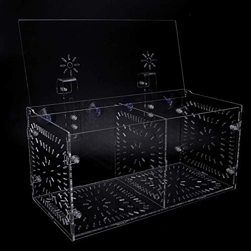 Acrylic Fish Breeding Box 20x20x20cm Mesh Rearing Trap for Baby Shrimp Clownfish Guppy, Isolation Board Prevents Adult Attack, Adjustable Suction Cup Fixation for Aquarium Hatchery - size: 30CM*15CM*15CM