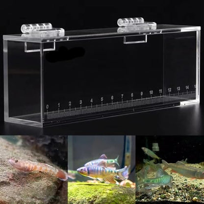 Fish Viewing Box Acrylic Outdoor Indoor Micro Landscape Fish Tanks Fishing Photo Tank Fish Breeding Tanks Photo Box with Scale(XL) - size: XL