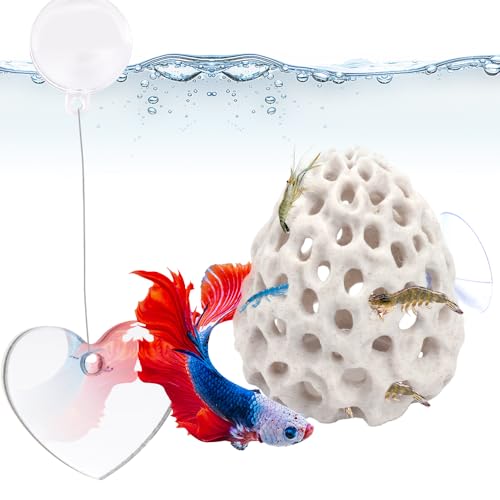 Shrimp Dome Hide and Betta Fish Tank Decorative Mirror, 2 Pack Betta Habitat Tank Ornament Accessories Tunnel with Suction Cup Aquarium Fish Cave Hideout Ornament Accessories for Shrimp Guppy Hiding