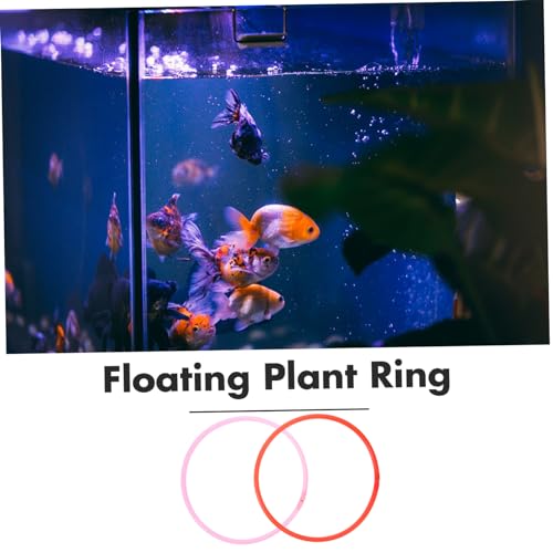 UPKOCH 6Pcs Floating Aquarium Plant Rings for Fish Feeding and Duckweed Isolation Plastic Fish Tank Plant Holders Stable and Versatile Rings in Mixed Colors for Aquatic Separation