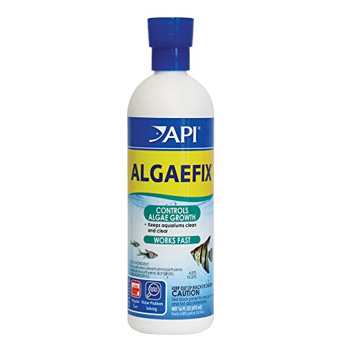 API ALGAEFIX Algae Control 16-Ounce Bottle - size: 16-Ounce