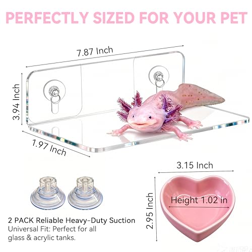 Axolotl Hammock Ledge with Heart-Shaped Ceramic Feeding Bowl - Upgraded Dual Suction Cup Resting Platform - Premium Acrylic Amphibian Tank Accessories for Salamanders, Newts, Geckos & Frogs