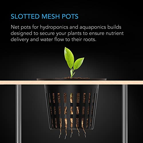 AC Infinity Net Cups 5cm Heavy Duty Garden Slotted Net Pots with Wide Lip | Wide Lip Rims, 50-Pack Black Bucket Basket for Indoor Outdoor Growing, Orchids, Aquaponics, Hydroponics - size: 2"