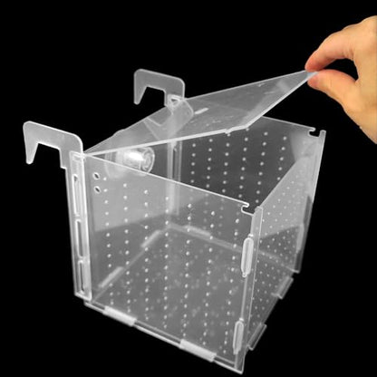 5.9 x 5.9 x 5.9 inch Acrylic Fish Breeding Box, Transparent Isolation Hatchery Incubator with Suction Cups for Guppy Shrimp Small Baby Fishes Aquarium Nursery Tank - size: 5.9 x 5.9 x 5.9 inch