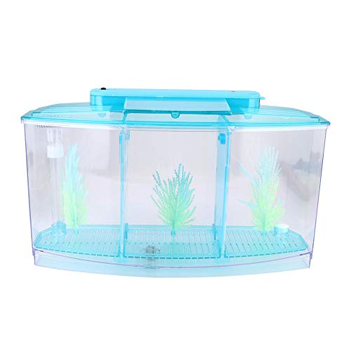 Aquarium Tank, Three Divisions LED Acrylic Fish Tank, Desktop Aquarium | Portable Fish Tank | Travel Fish Tank | Cool Fish Tank | Breeding Isolation Box Fishtank for Baby Fish