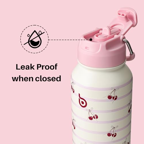 BOTTLE BOTTLE 32oz Insulated Water Bottle with Pill Box | Stainless Steel,Sport Water Bottle, with Straw Dual-use Lid and Pill Box, Design for Gym - color: Happy Cherry