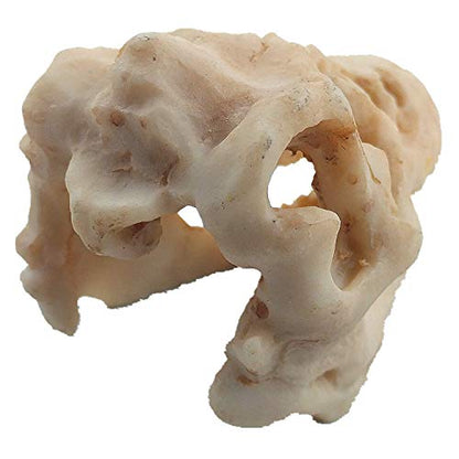 Resin Dinosaur Skull Aquarium Ornament Mini Dinosaur Tank Decoration Betta Fish Small Dinosaur Skull Fish Reptile Tank with Holes Aquarium Landscape Reptile Hideout Caves