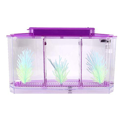 Small Fish Isolation Fish Tank, LED Acrylic Aquarium Fish Tank, Transparent Fish Isolation Box with 2 Isolation Plates for Small Fishes Betta Shrimp Guppy (Lightpurple)