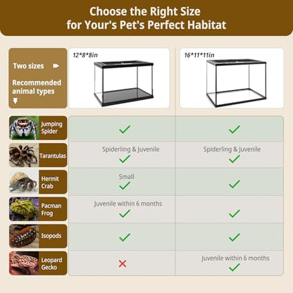 Small Reptile Glass Terrarium Kit 12"x8"x8" Full View Reptile Enclosure Tank for Spiders,Tarantulas,Hermit Crabs,Geckos,Frog,Turtle,Fish and Isopod with Tank Accesssories and Top Openning Door - size: 8"W x 12"D x 8"H