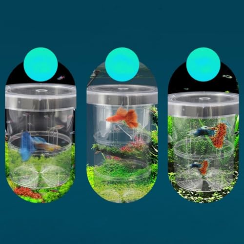 Guppy Breeding Box Aquarium Incubator Floating Fish Hatchery Suspension Isolation Tank(S)
