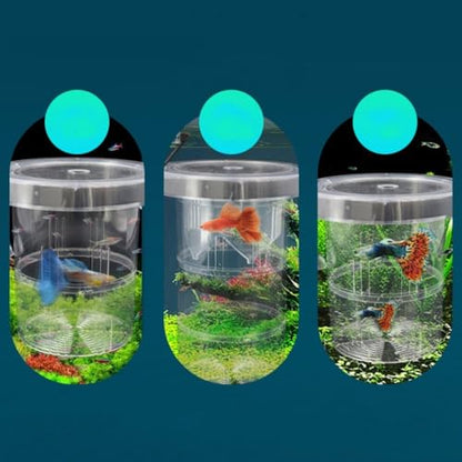 Guppy Breeding Box Aquarium Incubator Floating Fish Hatchery Suspension Isolation Tank(S)