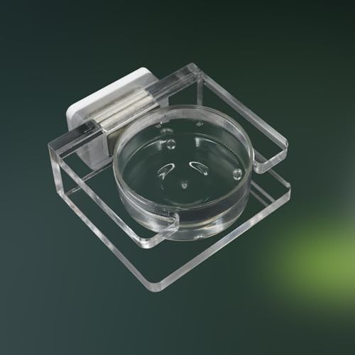 Jumping Spider Feeding Dish, Transparent Acrylic Magnetic Tiny Tarantula Food Bowl Water Dish, Enclosure Feeder Accessories for Jumping Spider Tarantula Small Spider - 2 × 1.8 Inch - size: 1 Pack