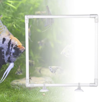 Aquarium Floating Plant Corral Aquarium Food Ring Lawn Clear Patio Yard Garden Acrylic Floating Plant Ring Fish Feeding Ring
