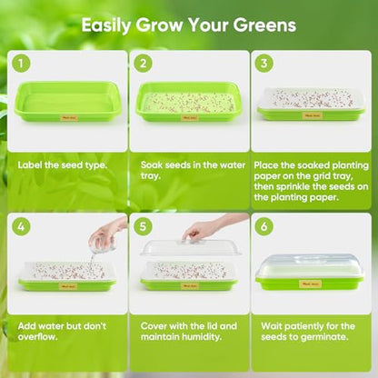 6 Pack Green Seed Sprouter Trays with Lid, Soil-Free Cultivation Germination Tray, Nursery Tray with Planting Paper for Indoors or Outdoors