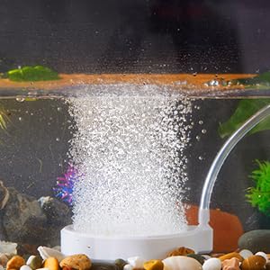 Rise Torrent Nano Air Stone with Case, Silent High-Oxygen Diffuser for Aquarium, Fish Tank & Hydroponics - 2 Inch White Small Bubble Diffuser Accessories (No Air Pump and Air Tube) - color: White, size: 2"