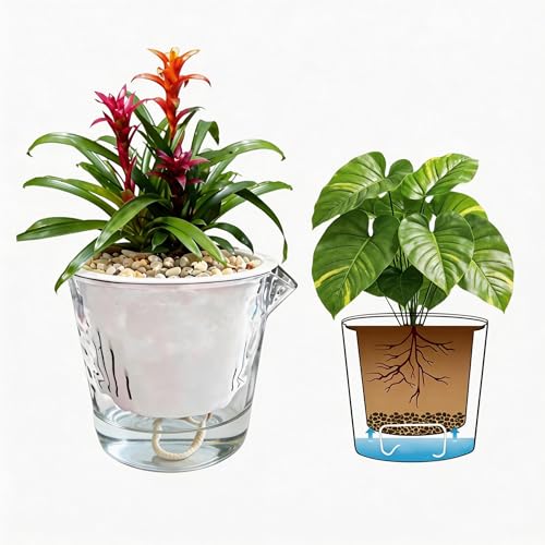 InmeRun Plant Pots Indoor Plastic Flower Pots Outdoor 5 inch Set of 6 Pack with Drainage Holes and Saucers for Garden Pots (self Watering 5in-6p) - color: Clear, size: 5"(Pack of 6)