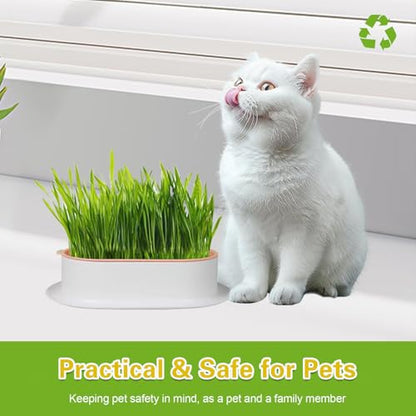 Cat Grass Planter, Hydroponic Cat Grass Kit with Germination Tray, Soil-Free Cat Grass Tray for Indoor Cats, Microgreens Growing Tray, No Seeds Included