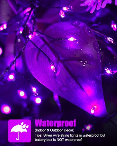 Minetom Fairy Lights Battery Operated, Twinkle String Lights 5ft 60LED - color: Purple