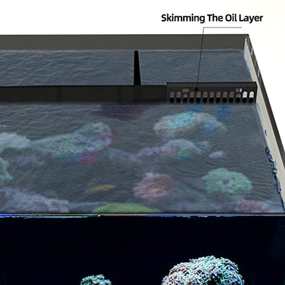 Landen 60P 26.23 Gallon Ultra Clear All Glass Rimless Low Iron Aquarium Tank with Rear Filtration Chamber for Salt and Fresh (Return Pump Included) 23.6Wx17.7Dx15.8H in(60x45x40cm) 8mm Thickness