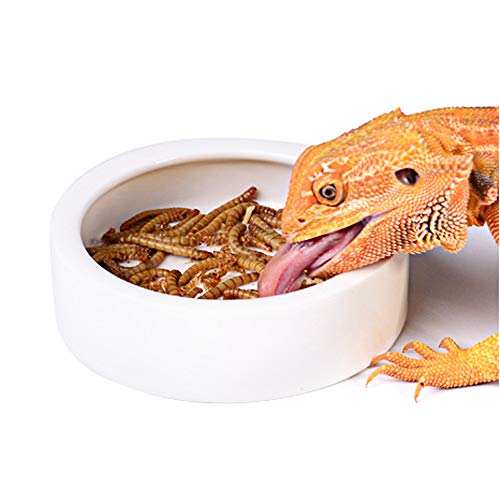 Reptile Food Water Bowl, 2 pcs Ceramics Worm Dish ,Anti-Escape Reptile Water Feeder ,Mealworm Bowl for Lizard Gecko Bearded Dragon, (S,M,L) (Large) - size: Large