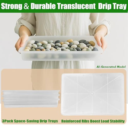 MUZHI 6 Pack Plastic Bonsai Humidity Trays, Rectangle Plant Growing Saucer Water Catcher Drip Tray, Seed Starter Drainage Tray Translucent (11.5x8.3 Inch)
