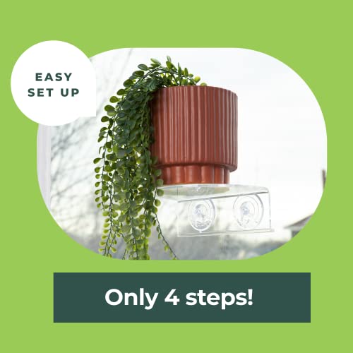 Window Garden Veg Ledge - Window Shelf for Plants, Clear Acrylic Shelves - Suction Cup Indoor Plant Holder - Glass Window Sill Extender for Microgreens Kit, Seed Starter Pots, Planters (1 Pack) - size: 1 Medium (Original)
